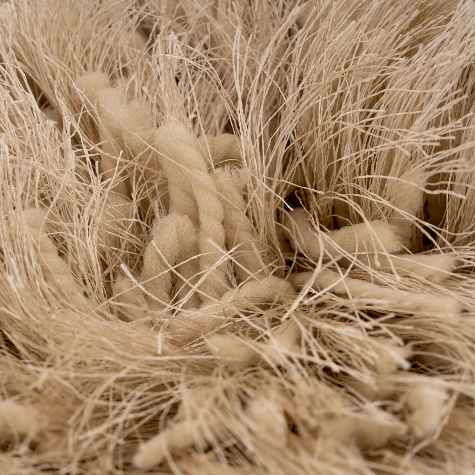 Plush Soft Cream Shaggy Area Rug - Zia - Image 7