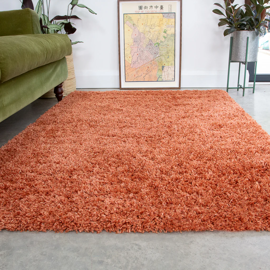 Soft Everyday Shaggy Rugs - Choose Your Colour - Image 8